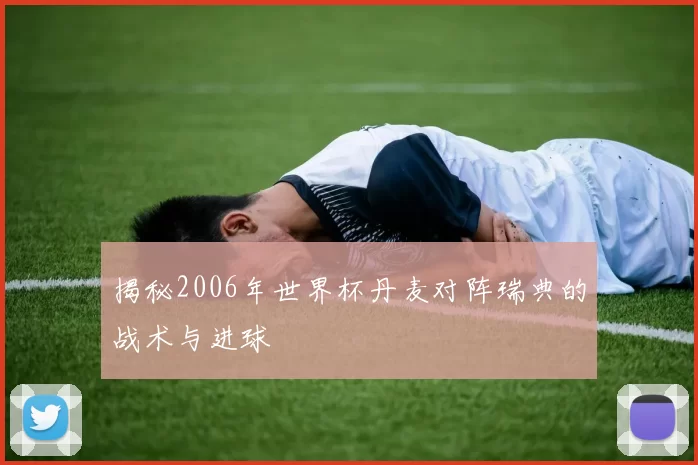 揭秘2006年世界杯丹麦对阵瑞典的战术与进球
