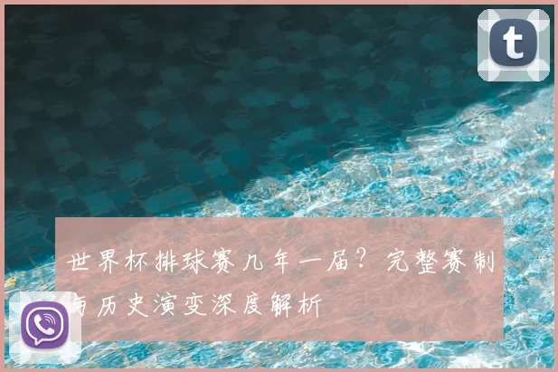 世界杯排球赛几年一届？完整赛制与历史演变深度解析