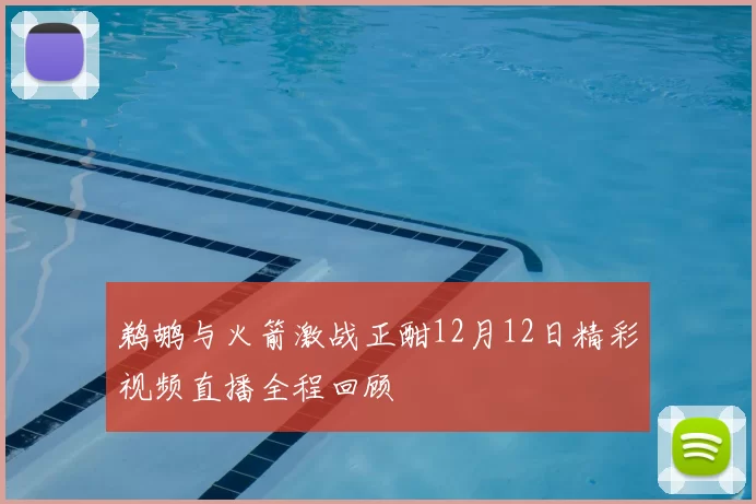 鹈鹕与火箭激战正酣12月12日精彩视频直播全程回顾