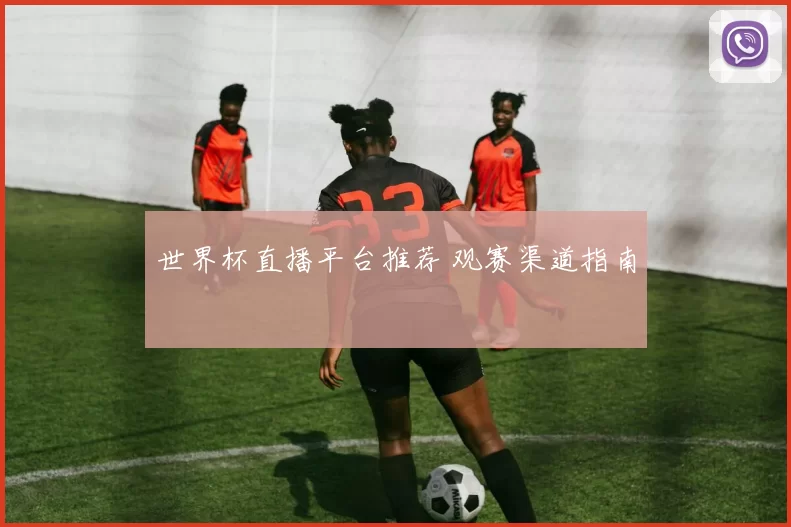 世界杯直播平台推荐 观赛渠道指南