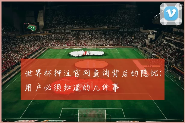 世界杯押注官网查询背后的隐忧:用户必须知道的几件事