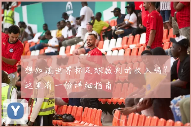 想知道世界杯足球裁判的收入吗?这里有一份详细指南