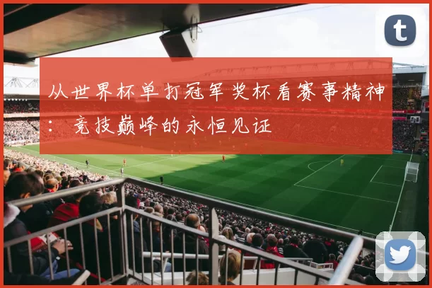 从世界杯单打冠军奖杯看赛事精神：竞技巅峰的永恒见证
