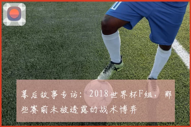 幕后故事专访：2018世界杯F组，那些赛前未被透露的战术博弈
