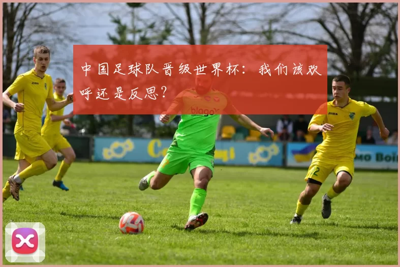 中国足球队晋级世界杯：我们该欢呼还是反思？