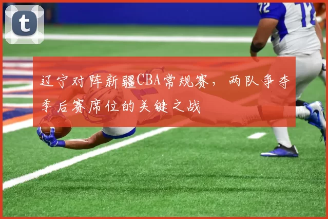 辽宁对阵新疆CBA常规赛,两队争夺季后赛席位的关键之战