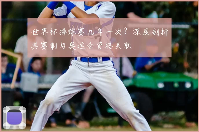 世界杯排球赛几年一次？深度剖析其赛制与奥运会资格关联