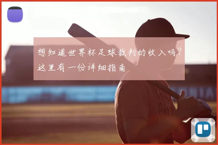 想知道世界杯足球裁判的收入吗?这里有一份详细指南