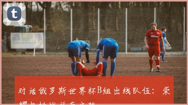 对话俄罗斯世界杯B组出线队伍:荣耀与挑战并存之路