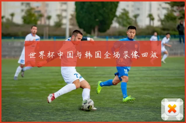世界杯中国与韩国全场录像回放