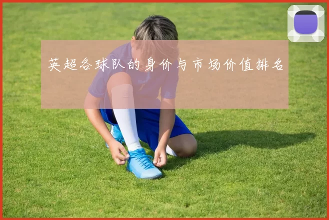 英超各球队的身价与市场价值排名