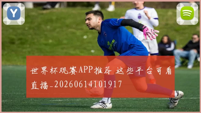 世界杯观赛APP推荐 这些平台可看直播_20260614101917
