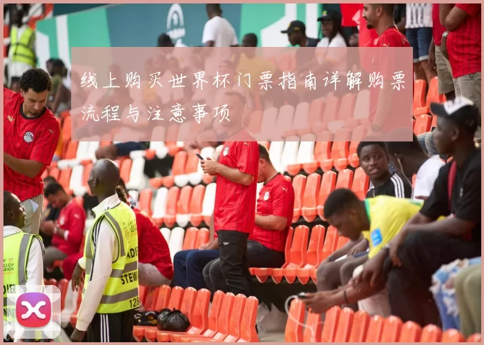 线上购买世界杯门票指南详解购票流程与注意事项