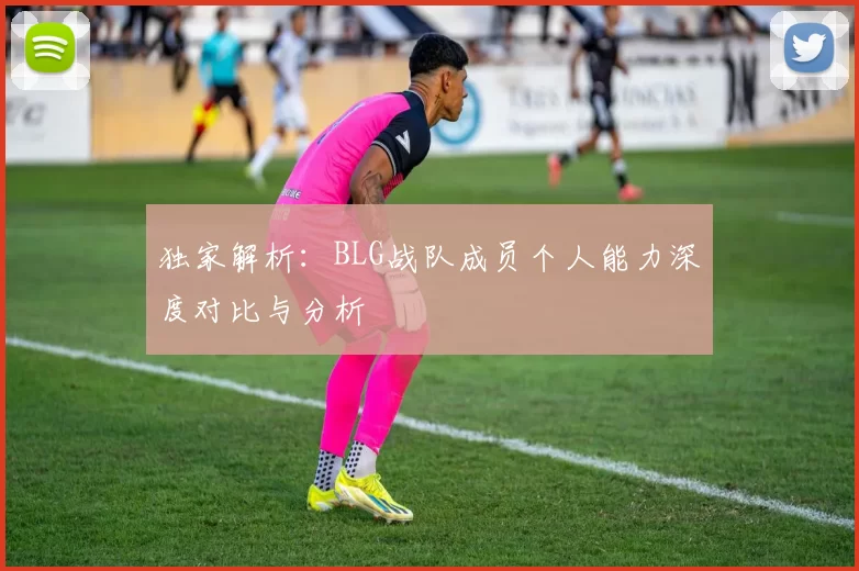 独家解析：BLG战队成员个人能力深度对比与分析