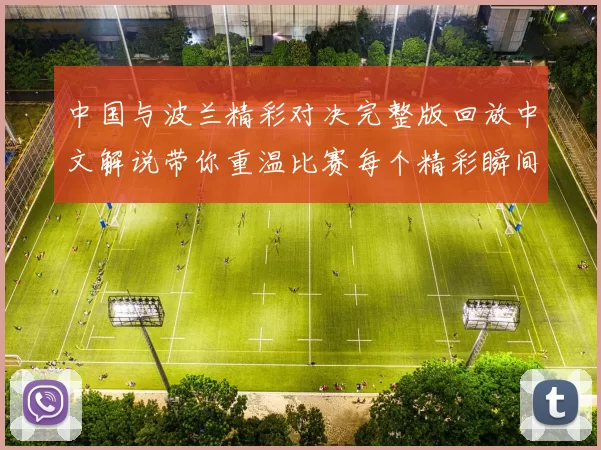 中国与波兰精彩对决完整版回放中文解说带你重温比赛每个精彩瞬间