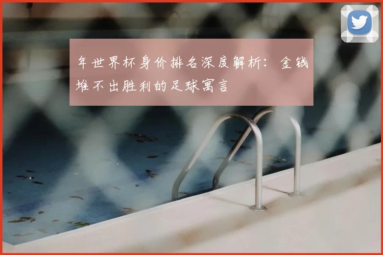 年世界杯身价排名深度解析：金钱堆不出胜利的足球寓言