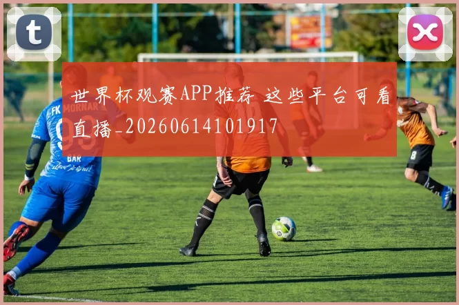 世界杯观赛APP推荐 这些平台可看直播_20260614101917