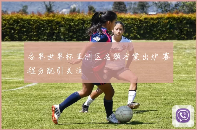 各界世界杯亚洲区名额方案出炉 赛程分配引关注