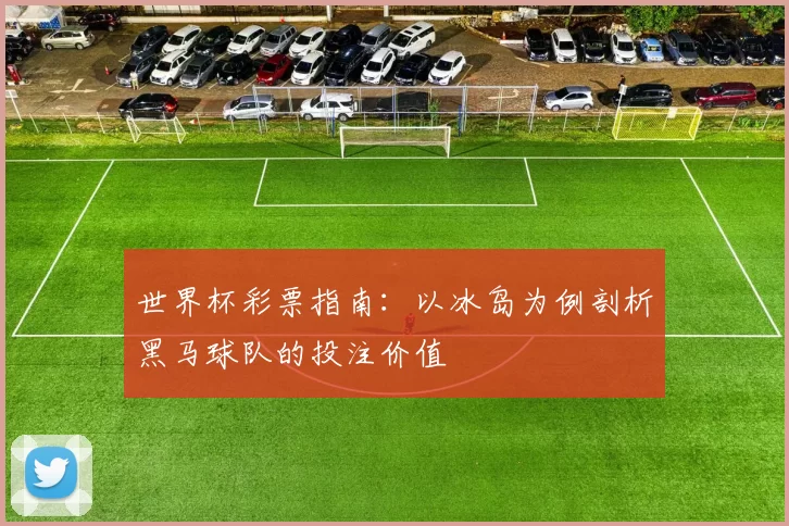 世界杯彩票指南：以冰岛为例剖析黑马球队的投注价值
